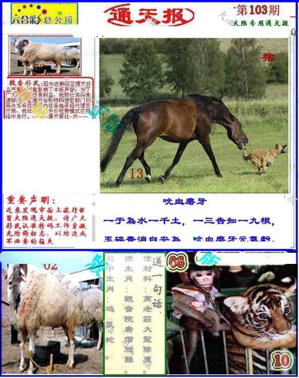 Сϲͨ�챨/��ͨ�챨/����ͨ�챨/��½ͨ�챨/ʵ��ͨ�챨/����ͨ�챨/����ͨ�챨