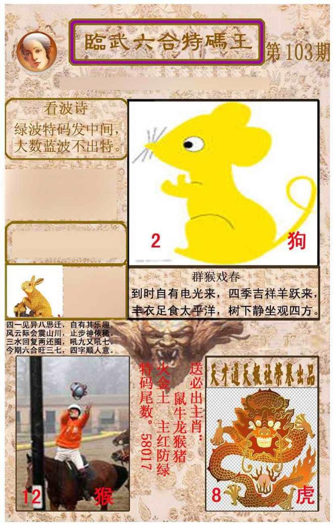 ���������ƣ����棩/�ڲ�͸��/��������������