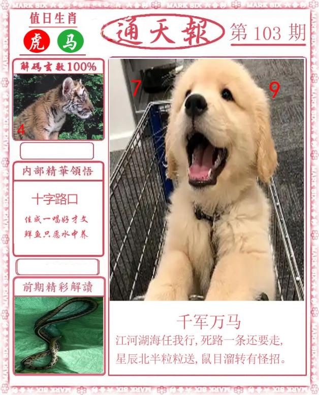 Сϲͨ�챨/��ͨ�챨/����ͨ�챨/��½ͨ�챨/ʵ��ͨ�챨/����ͨ�챨/����ͨ�챨