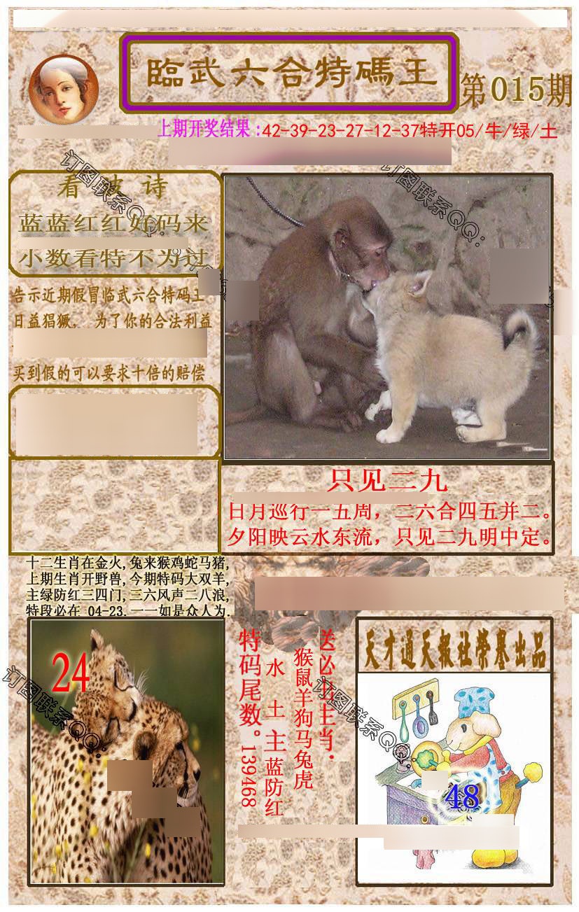 ���������ƣ����棩/�ڲ�͸��/��������������