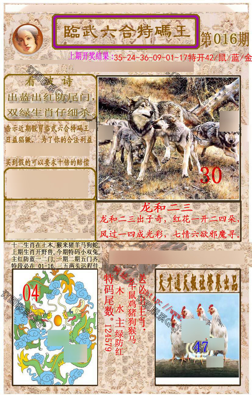 ���������ƣ����棩/�ڲ�͸��/��������������