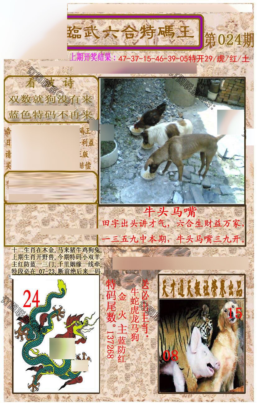 ���������ƣ����棩/�ڲ�͸��/��������������