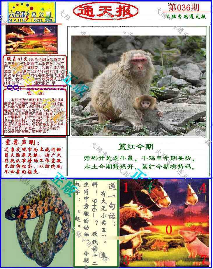 Сϲͨ�챨/��ͨ�챨/����ͨ�챨/��½ͨ�챨/ʵ��ͨ�챨/����ͨ�챨/����ͨ�챨