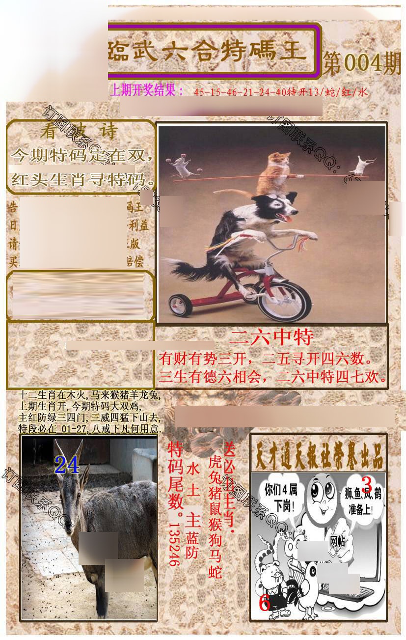 ���������ƣ����棩/�ڲ�͸��/��������������