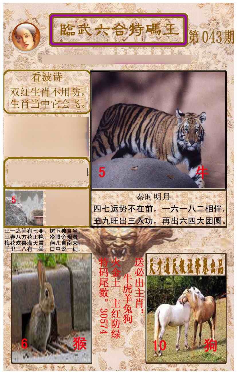 ���������ƣ����棩/�ڲ�͸��/��������������