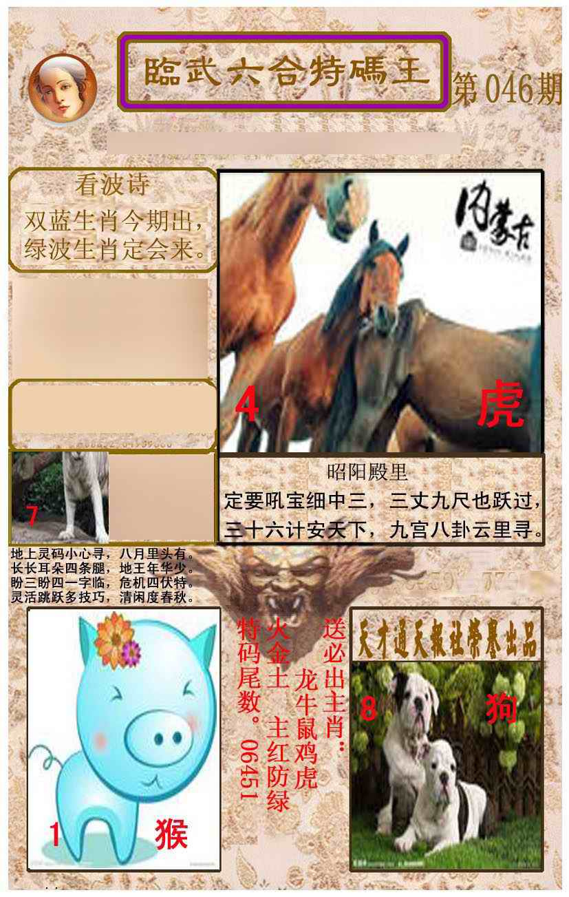 ���������ƣ����棩/�ڲ�͸��/��������������