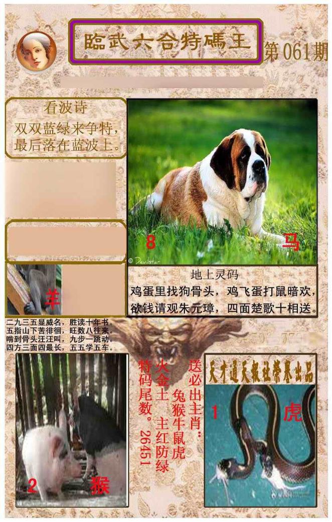 ���������ƣ����棩/�ڲ�͸��/��������������