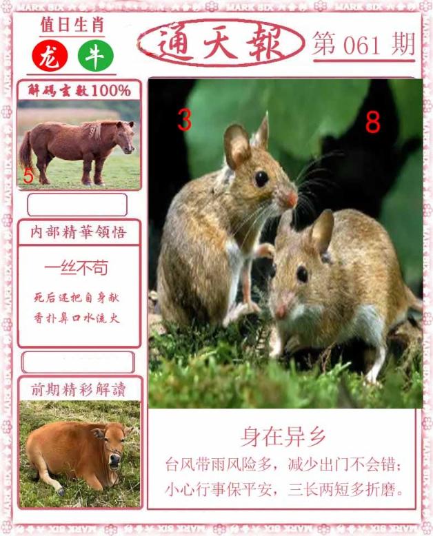 Сϲͨ�챨/��ͨ�챨/����ͨ�챨/��½ͨ�챨/ʵ��ͨ�챨/����ͨ�챨/����ͨ�챨