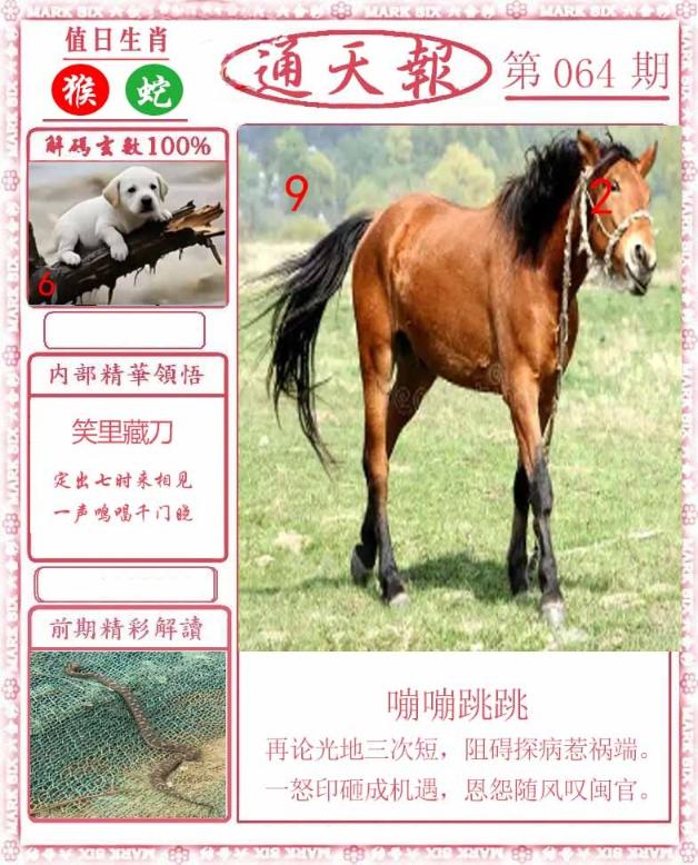 Сϲͨ�챨/��ͨ�챨/����ͨ�챨/��½ͨ�챨/ʵ��ͨ�챨/����ͨ�챨/����ͨ�챨