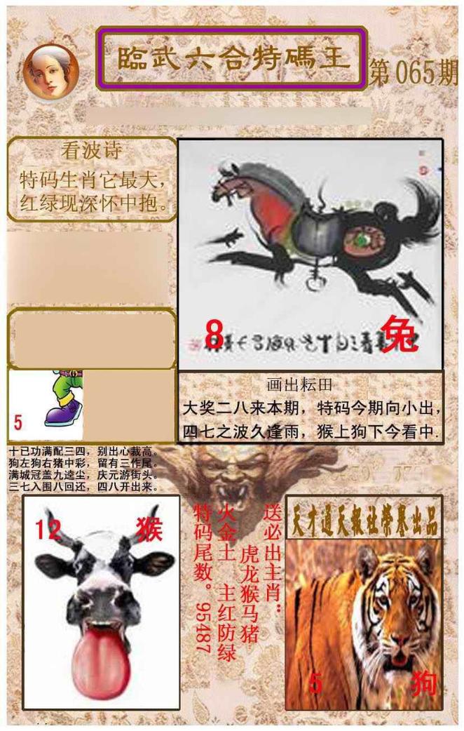 ���������ƣ����棩/�ڲ�͸��/��������������
