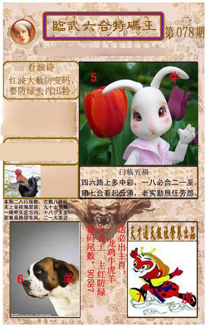 ���������ƣ����棩/�ڲ�͸��/��������������
