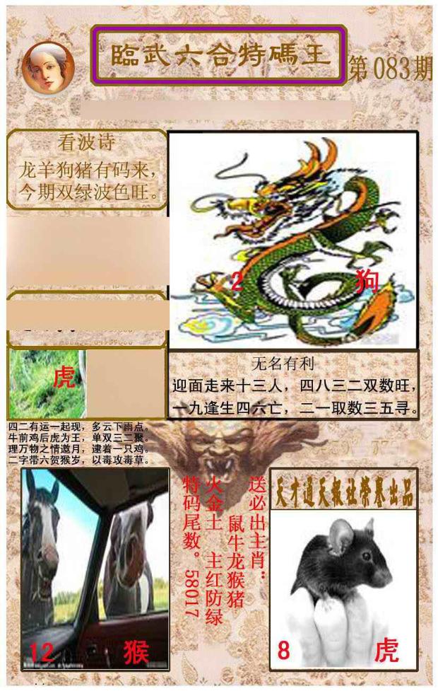 ���������ƣ����棩/�ڲ�͸��/��������������