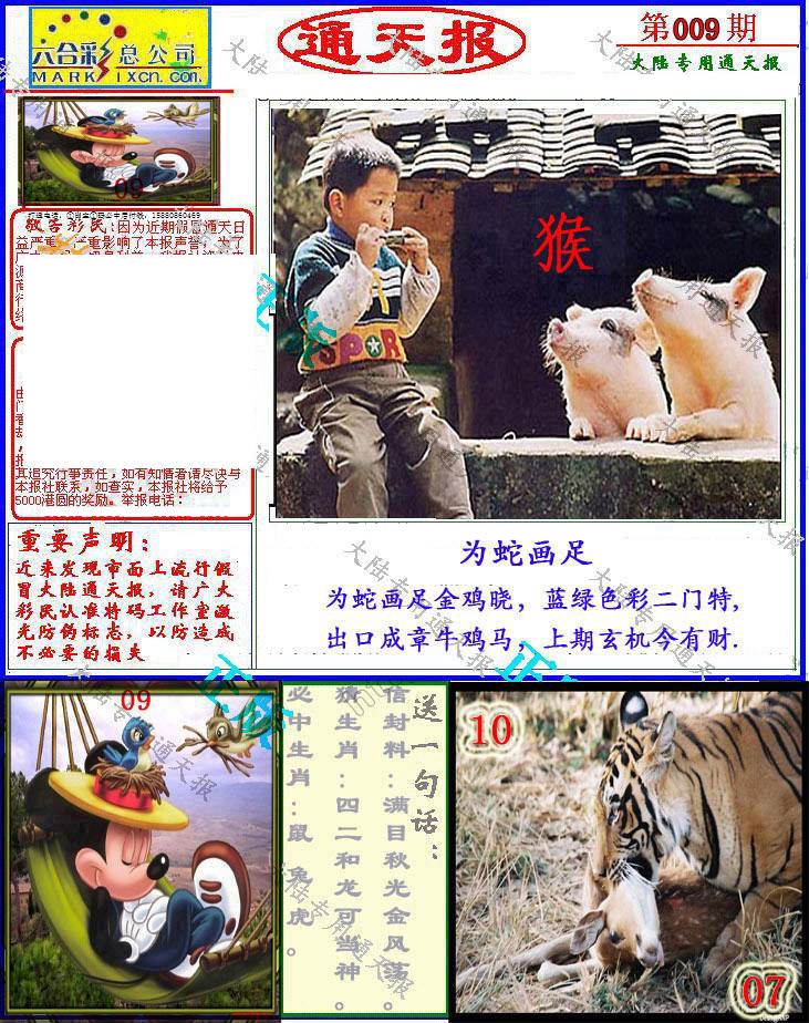 Сϲͨ�챨/��ͨ�챨/����ͨ�챨/��½ͨ�챨/ʵ��ͨ�챨/����ͨ�챨/����ͨ�챨