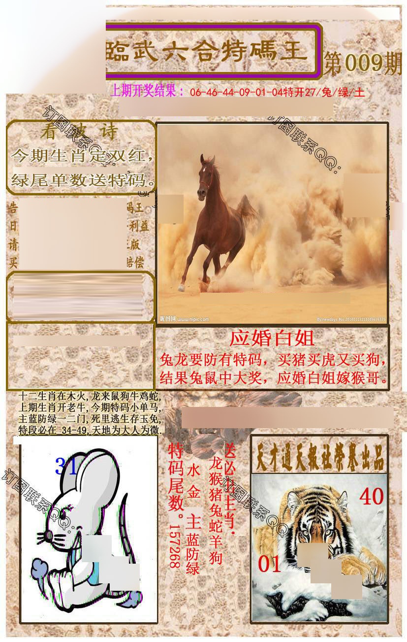 ���������ƣ����棩/�ڲ�͸��/��������������