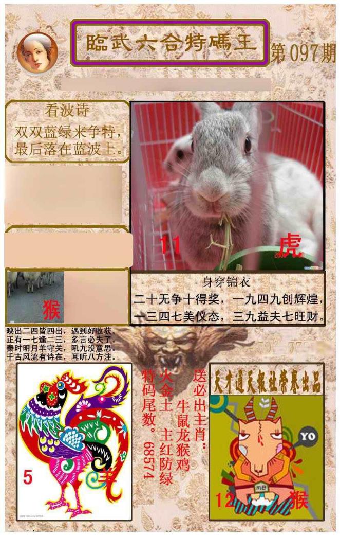 ���������ƣ����棩/�ڲ�͸��/��������������